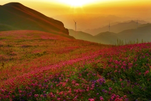 Salon Honorable Mention